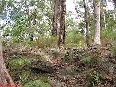 20080420-ONR 127